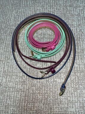 Set of 4 colorful J.Crew skinny belts